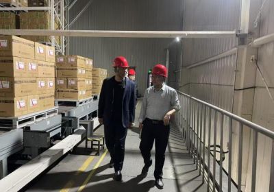 区管委会主任蒋福森赴我开云（中国）调研安全生产工作